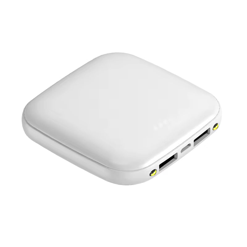 Pocket-Sized Dual-Output 10000mAh LED Mini Power Bank
